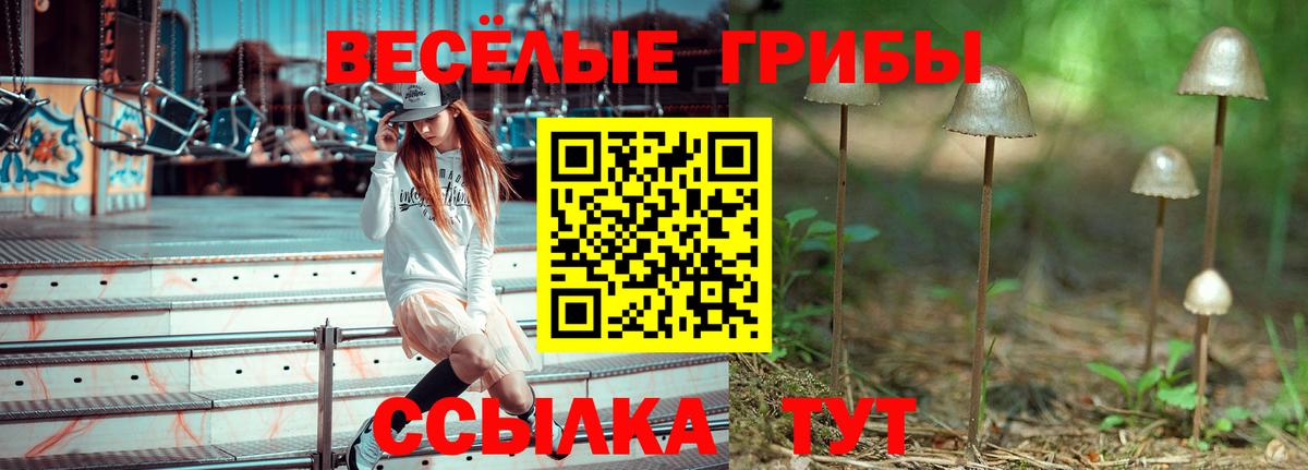 Чайковский  Галлюциногенные грибы MAGIC MUSHROOMS  Галлюциногенные грибы Psilocybe  Вход с VPN 