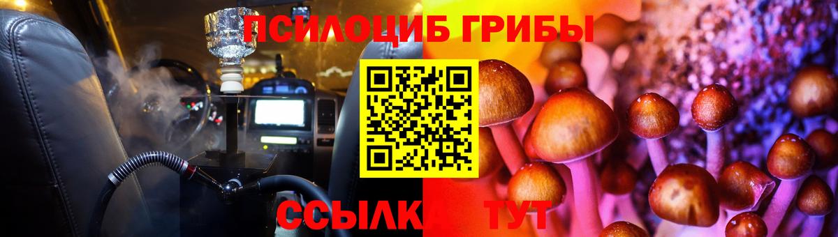 Галлюциногенные грибы MAGIC MUSHROOMS Чайковский